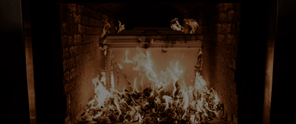 Exumação x cremação qual a diferença entre os processos